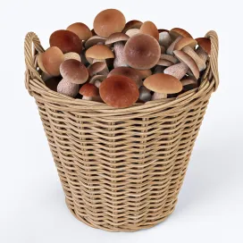 Ikea shopping nipprig with mushrooms